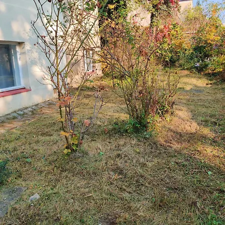 In House With Private Parking And Garden Guest house Prague