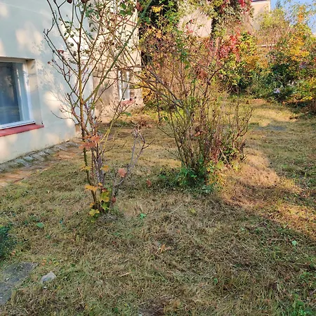 In House With Private Parking And Garden Penzion Praha