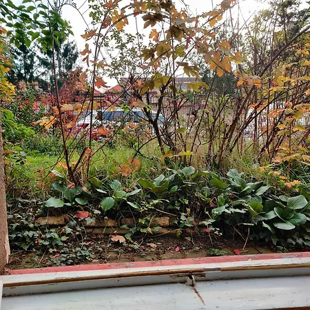 Gasthof In House With Private Parking And Garden